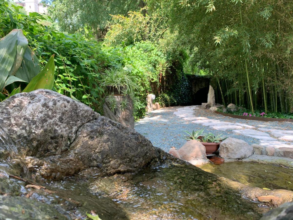 L'Isolo B&B E Case Vacanza Monzambano Dış mekan fotoğraf