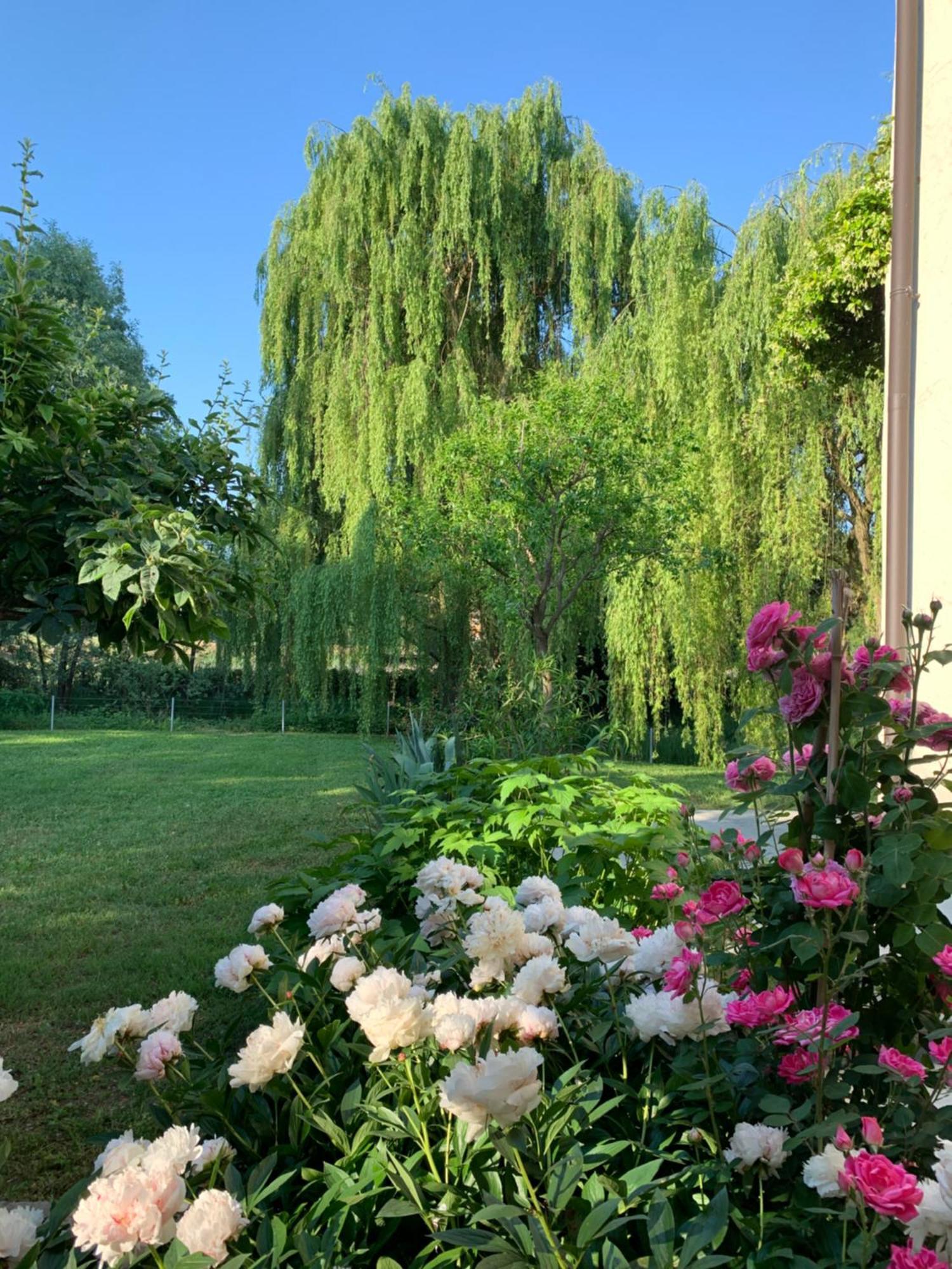 L'Isolo B&B E Case Vacanza Monzambano Dış mekan fotoğraf